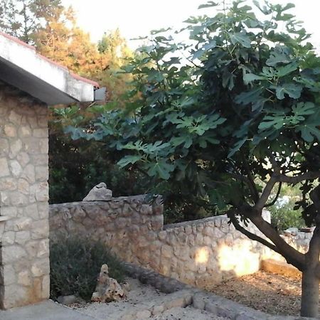Apartmán Kreso I Niko Grebaštica Exteriér fotografie
